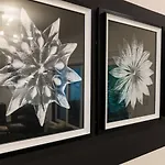 Super Luxury Maximum Space Gorgeous Decor *