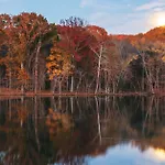 Soaring Ceilings & King Beds Overlooking Courtyard, 1 Of 7 Themed Lofts At Cowrite, Find Coffee And Tacos Downstairs, Complimentary Spin Class, Walk To Shopping In 12 South, 10 Minutes To Broadway, Parking, 24 Hr Hospitality