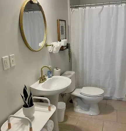 Apartment Everything You Could Ask For In A