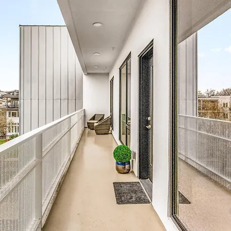 Illume 305