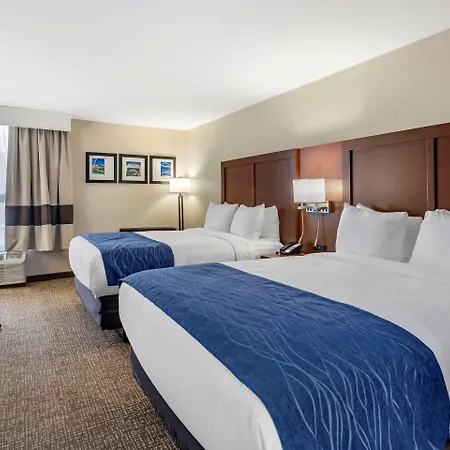 Comfort - Opryland Area Inn Nashville