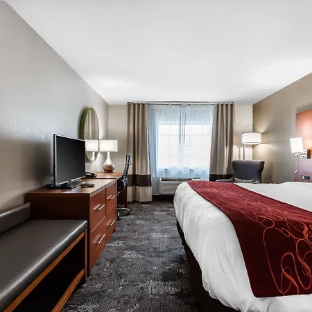 Hotel Comfort & Near Tanger Outlets I-24 Antioch