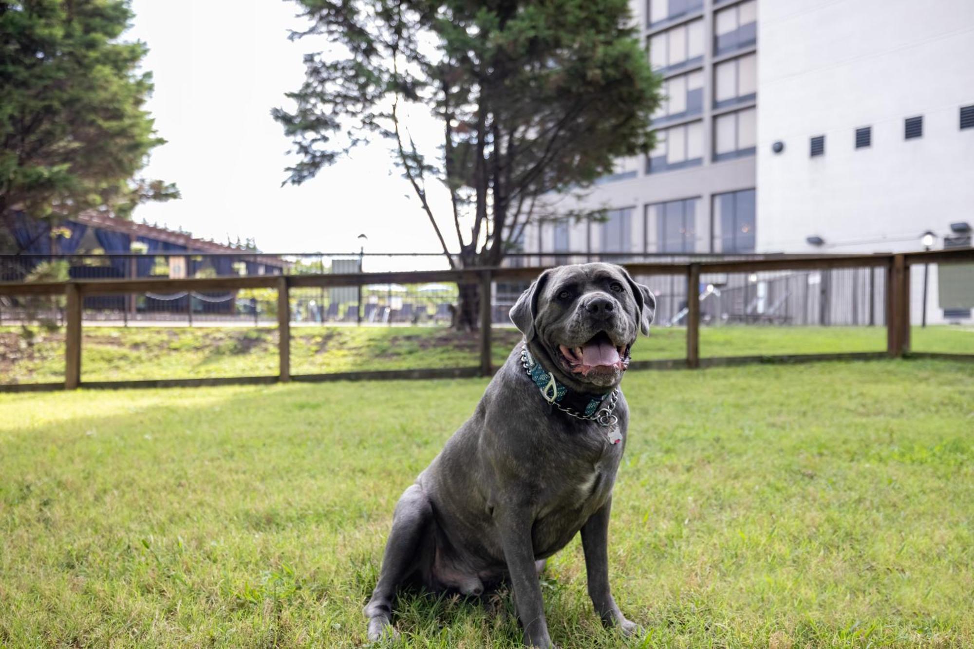 Hotel Delta By Marriott Airport Nashville