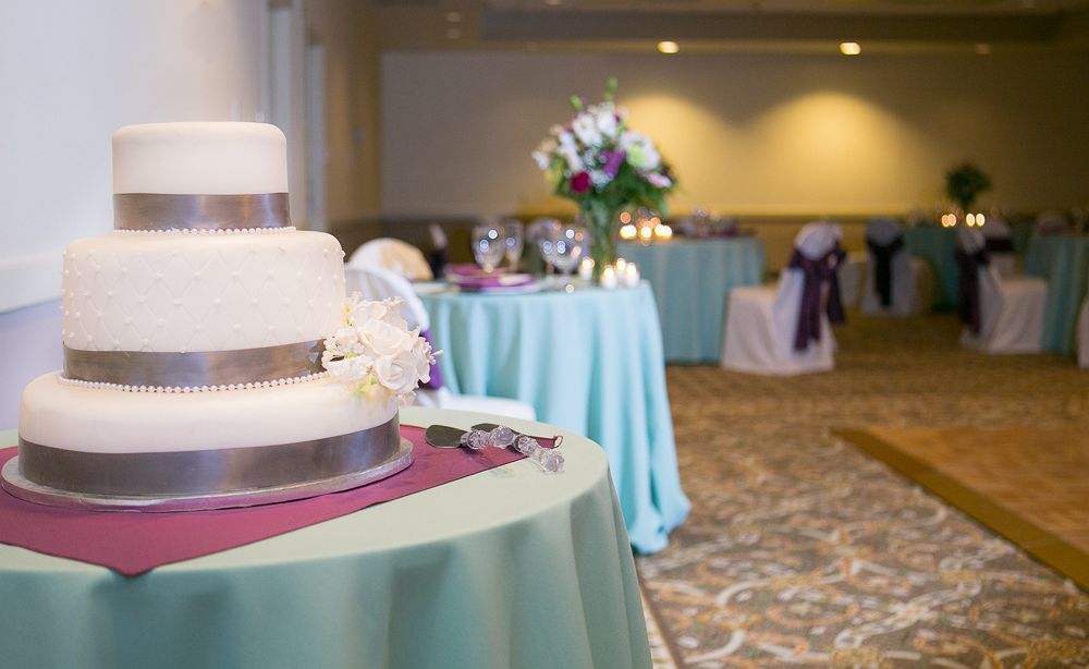 Hotel Radisson Airport Nashville