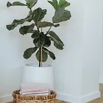 Storybook - Perfect For Couples And Solo Travelers Apartment *