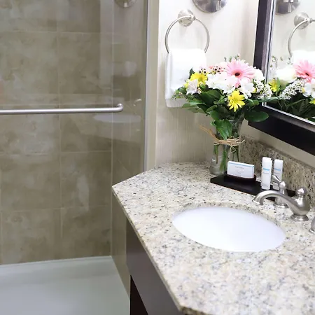 Hotel Embassy - At Vanderbilt 3*