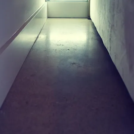 Quiet, And Cozy, Minutes From Attractions And Experiences! Apartment Nashville