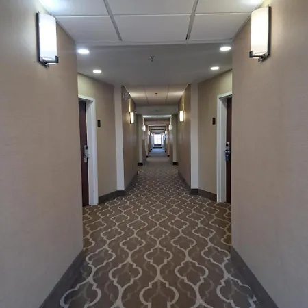 Comfort Near Percy Priest Hotel