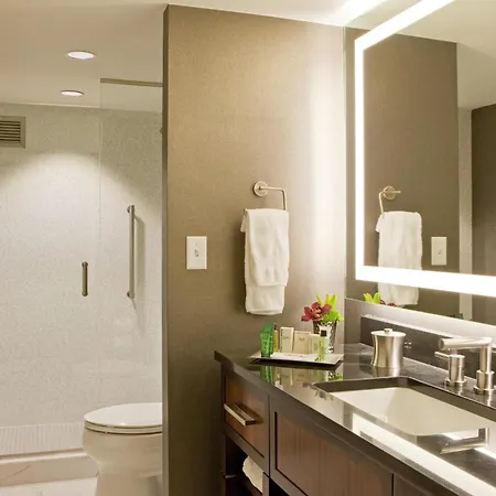 Hotel Hilton Downtown 4*