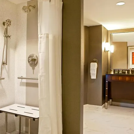 Hotel Hilton Downtown 4*