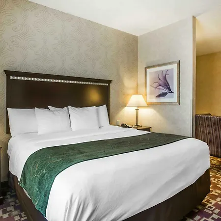 Comfort Near Percy Priest 4* Nashville