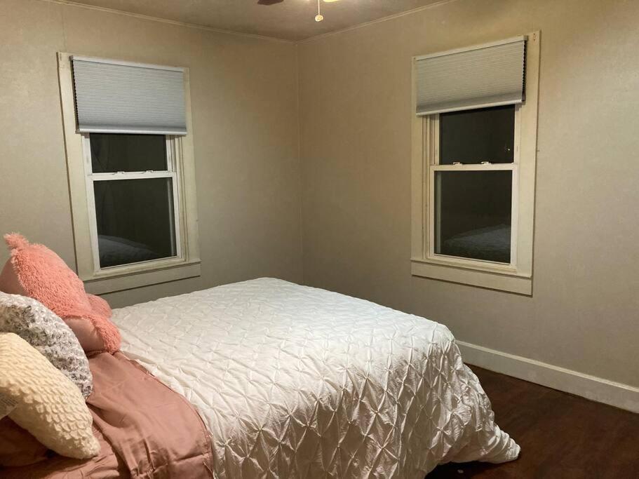 Green 25 Min From Downtown