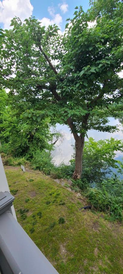 Captain's Quarters Riverfront #2 * Nashville