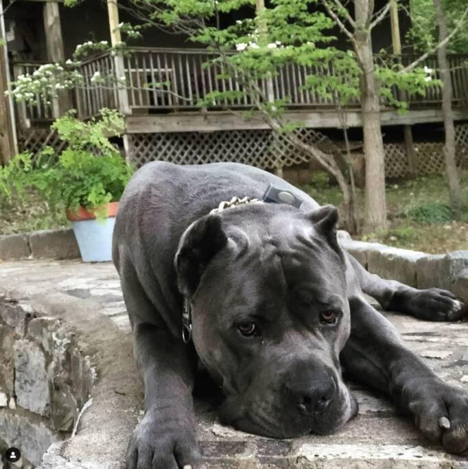 Holiday home Modern Close To Downtown Nashville