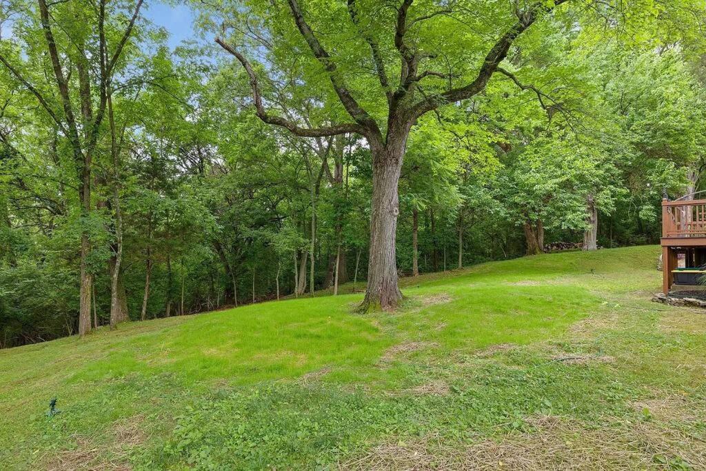 Hillside Hot Tub Hideaway! King Bed / Fire Pit Holiday home Nashville