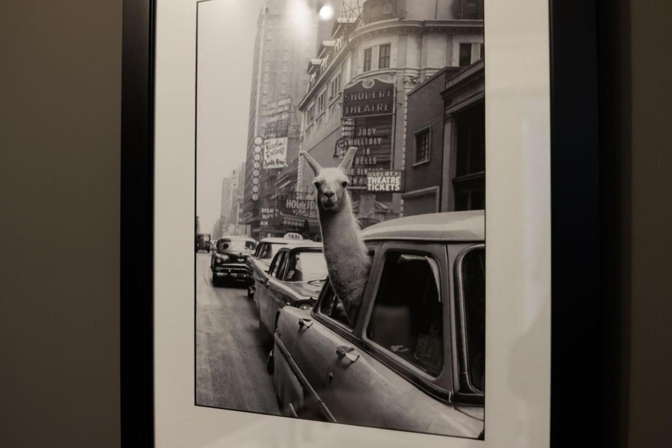 Holiday home Premier Townhome East Minutes Downtown Nashville