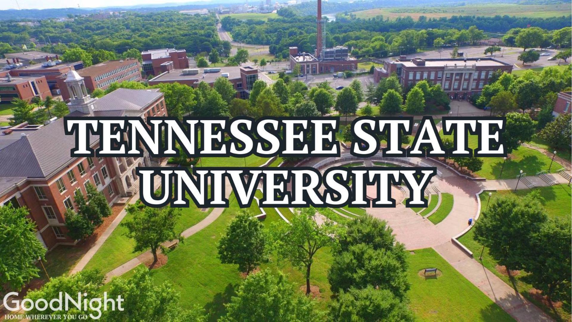 Tune - Odyssey - Mins To Broadway - Full Gym! Holiday home Nashville