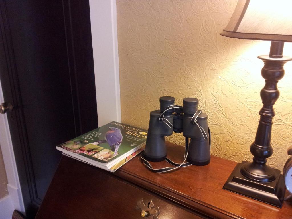 Bed & Breakfast Daisy Hill Nashville