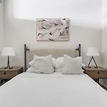 Landing Modern Apartment With Amazing Amenities