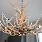 Downtown Luxury Condo At The Southern Belle
