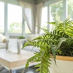The Mont Rose By Stay Local Nashville