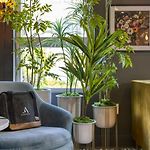 The Bloom House By Avantstay