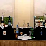 Hilton Garden Airport 3*