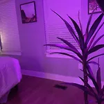Classy, Cozy, Close To Downtown Apartment