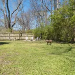 The Titan - Pet-friendly Holiday home