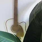 Pantheon - Odyssey - Heart Of Midtown