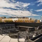 The Carter - Stay Where The Songwriters Dream On Music Row