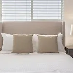 Landing Modern Apartment With Amazing Amenities