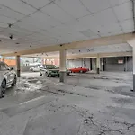 Honky Tonk Angels Suite