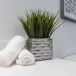 Super Luxury Maximum Space Gorgeous Decor * Nashville
