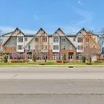 Nashville Cowgirl By Barcle