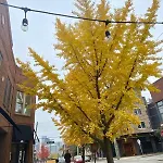 7 Min Drive To Broadway- Walkable Neighborhood Holiday home Nashville
