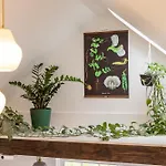 Holiday home Dreamy Tiny House With Hot Tub And Garden Patio Nashville