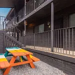 Dolly On Music Row Sleeps 12 Apartment