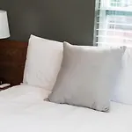 Modern Getaway Near Vandy Apartment *