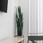 Sleeps 16 Two Side By Side Only 3 Miles Broadway Nashville
