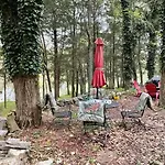 Cozy Waterfront With Fire Pit * Nashville