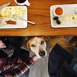 Abode - Marathon Village Near Downtown * Nashville