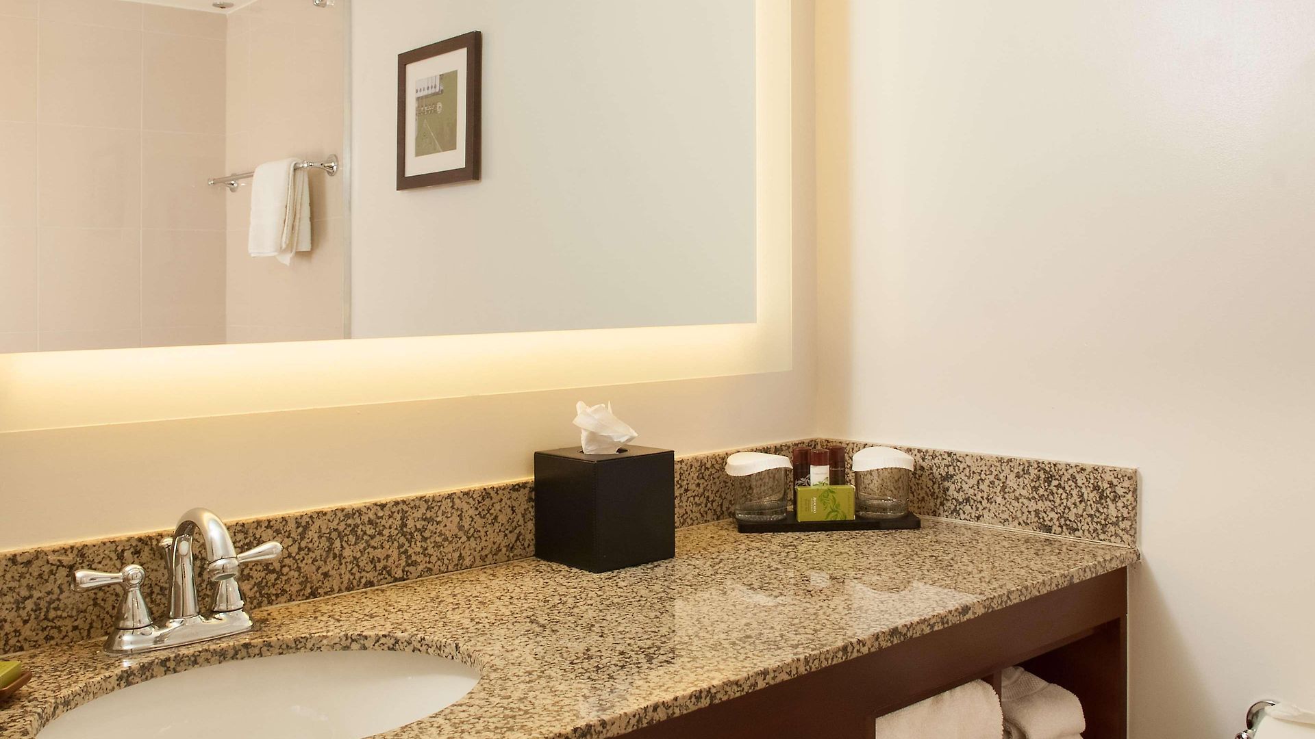 Embassy By Hilton Airport Hotel 4*