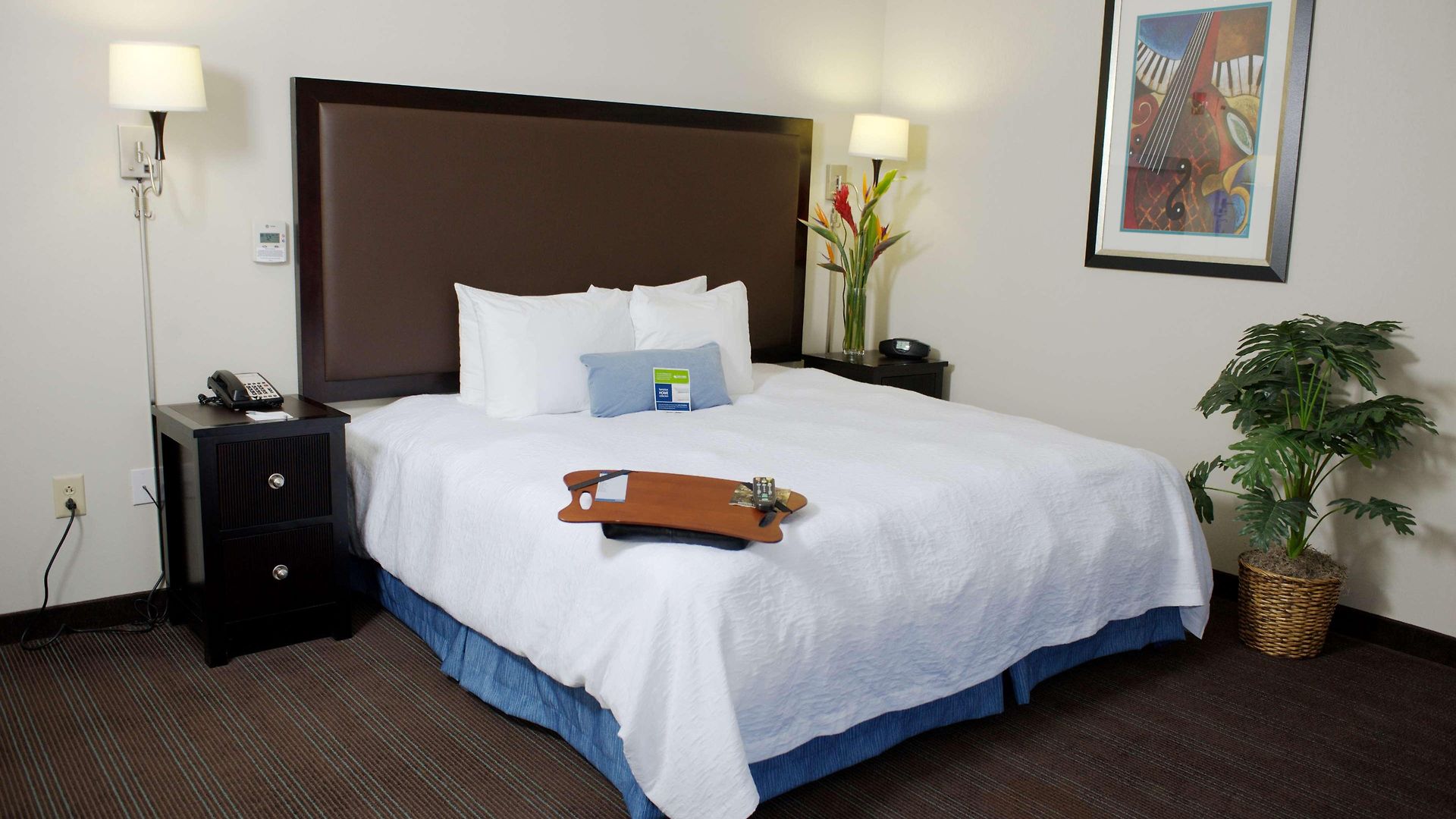Hampton & Nashville-downtown Hotel 3*