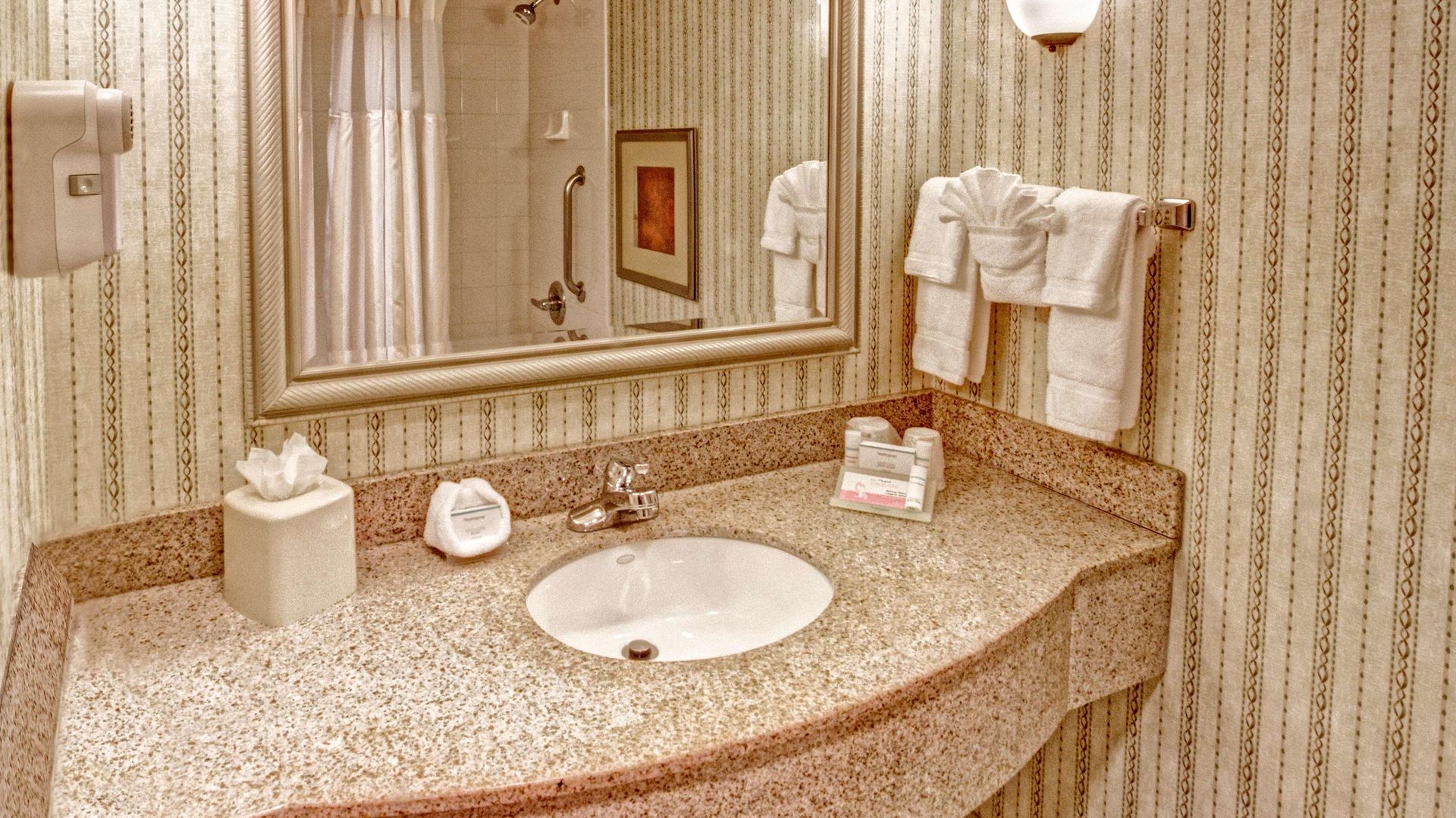 Hilton Garden Airport Hotel