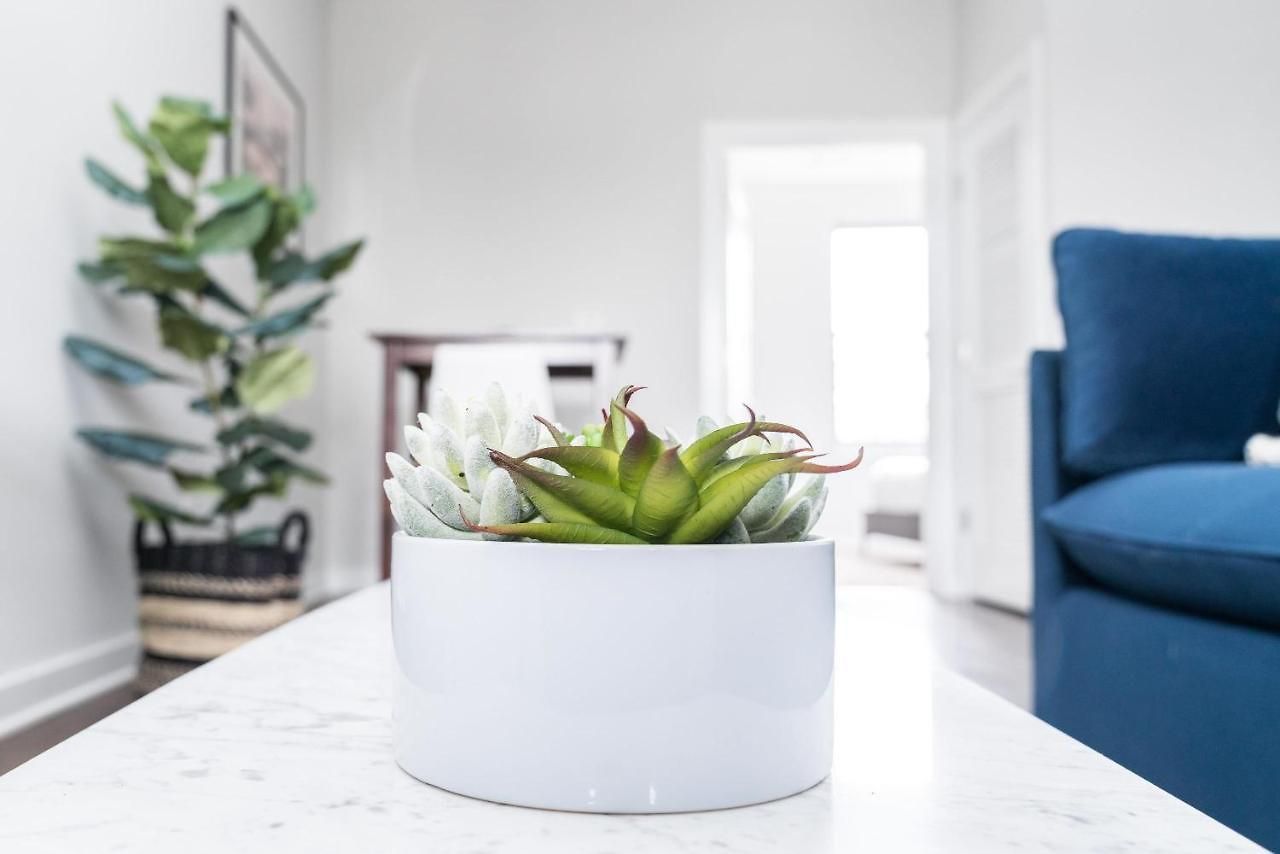 Cozysuites Music Row Elegant 1br In Nashville! 36 Nashville