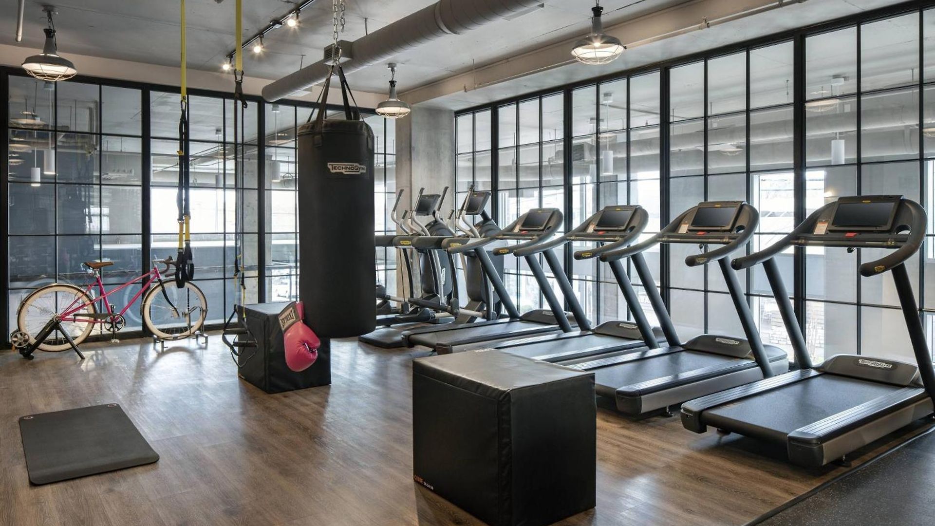 Moxy Vanderbilt Area