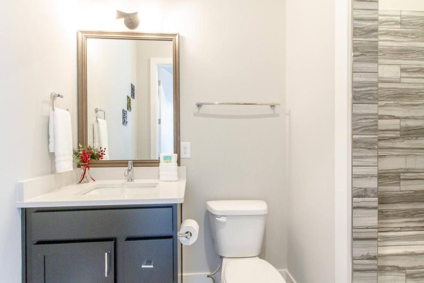 Spacious Contemporary Townhome With Private Rooftop Nashville
