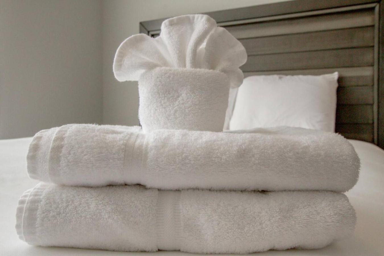 Large Impressive Townhome Private Viewing Terrace Holiday home