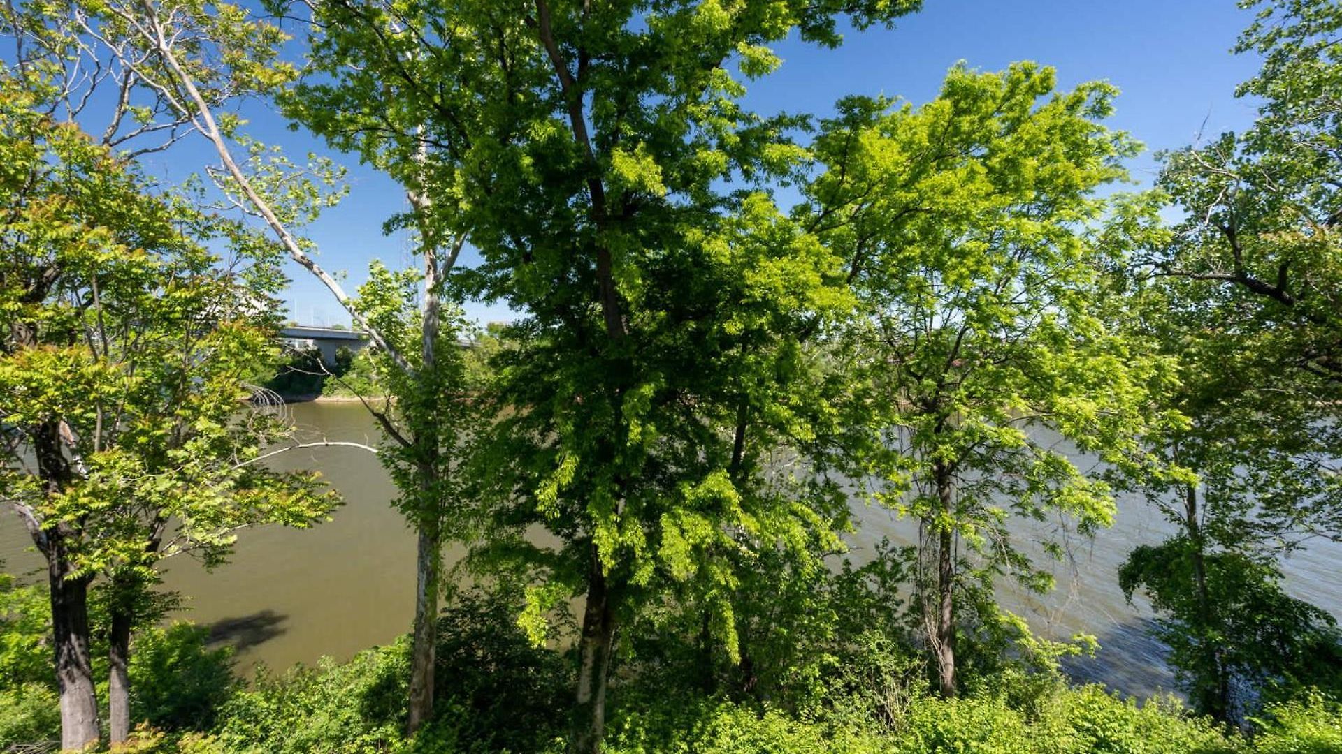 Cumberland River Near Dt *